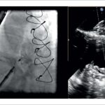 Figure 8