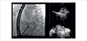 Figure 8