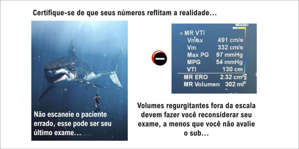 Figura 4