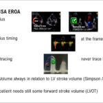 Figura 5