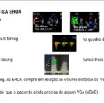 Figura 5