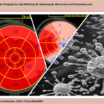 Imagem 1 da galeria