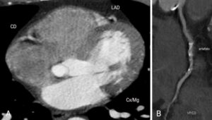 Figure 8