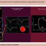 Calculation of MW. Estimation of VET by VA, pulsed wave Doppler of mitral inflow and LV outflow and tissue doppler of the mitral annulus tissue. Using automated function imaging, the GLS is generated through the apical 2, 3 and 4-chamber views. GWI, calculated using the event markers obtained by VA is lower than GWI values obtained by tissue Doppler and PD. LVP: left ventricular pressure; GWI: global work index