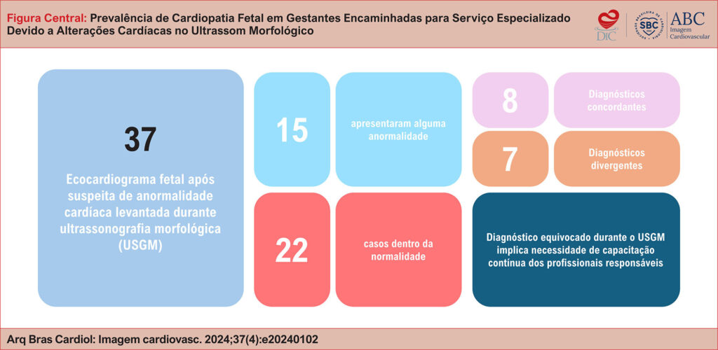 Imagem 2 da galeria