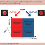 Phenotyping Strategy for HFpEF. Based on the left ventricular strain, there are two distinct HFpEF phenotypes: HFpEF with reduced longitudinal systolic function (HFpEF-rLS) and HFpEF with preserved longitudinal systolic function (HFpEF-pLS). Integrating the LA strain reservoir (LASr) is suggested to introduce a comprehensive dimension that addresses impairments in both the LV and LA. Additionally, the potential inclusion of MD could further refine stratification.