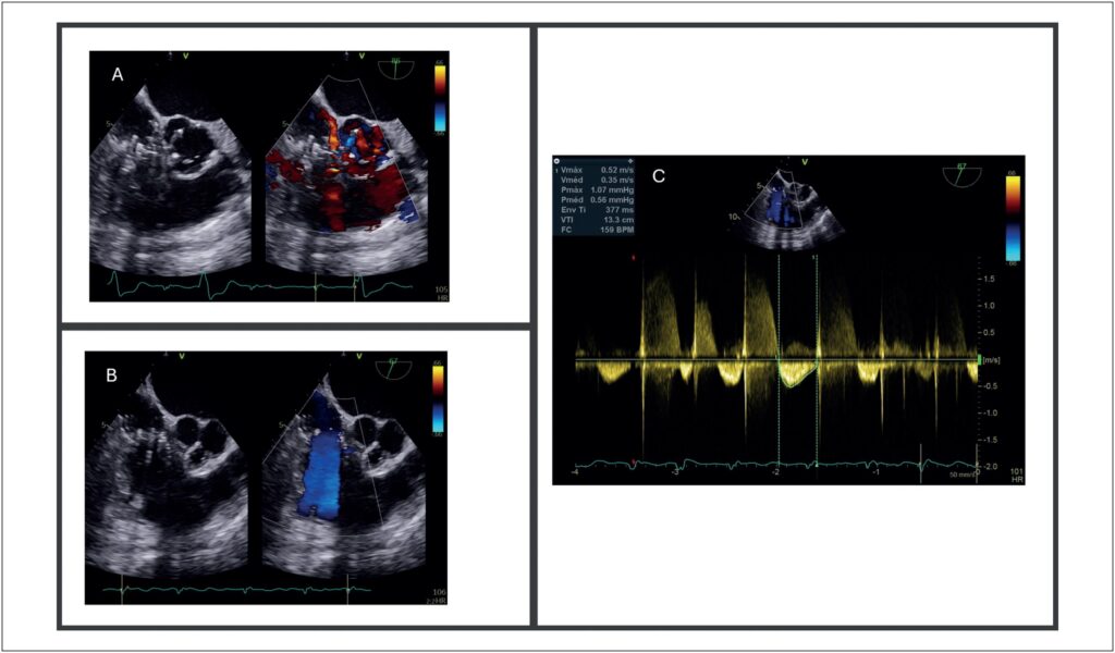 Figure 6
