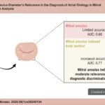 AUC: area under the curve; MR: Mitral Regurgitation.