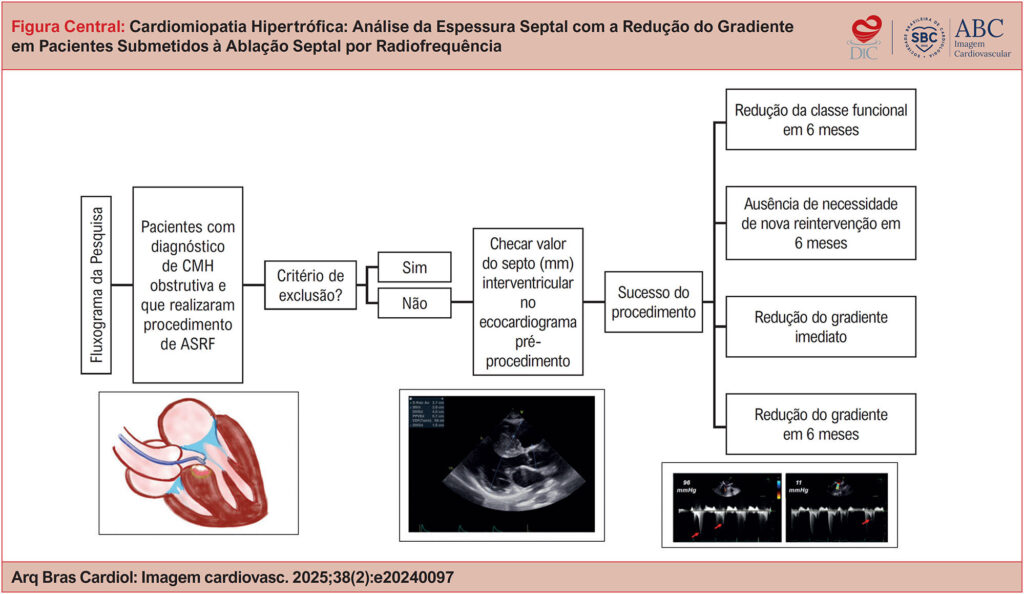 Imagem 1 da galeria