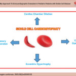 Echocardiographic evaluation in patients with sickle cell disease.
