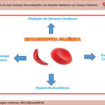 Avaliação ecocardiográfica em paciente com Doença Falciforme.