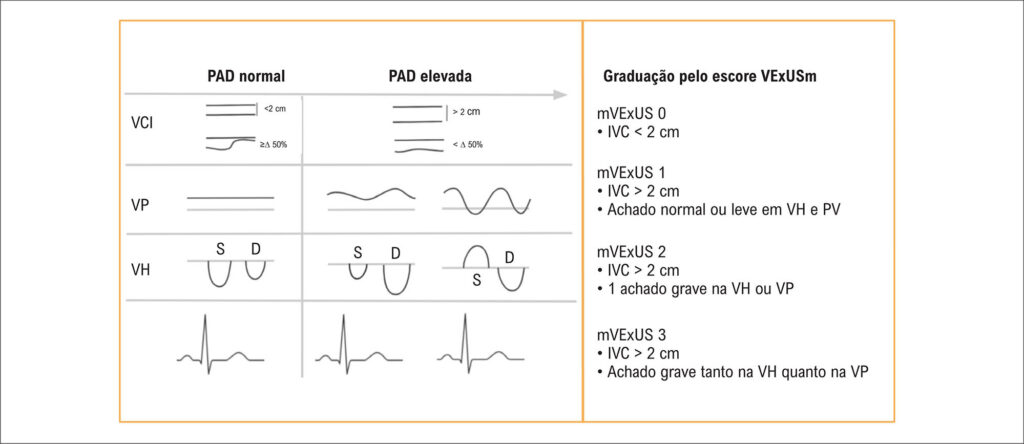 Figura 3