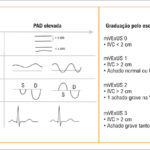 Figura 3