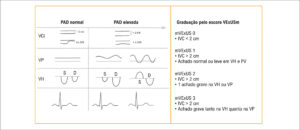Figura 3