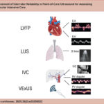 Key POCUS parameters assessed in this study included LVFP, LUS, IVC measurements, and venous congestion evaluation using the mVExUS Score. The variables analyzed were E/A and E/e’ ratios for LVFP, B-lines for LUS, IVC diameter and collapsibility, and hepatic vein (HV) and portal vein (PV) Doppler assessments for mVExUS. Created with BioRender.com.