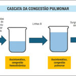 Figura 1