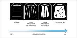 Figura 6