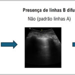 Figura 10