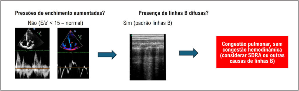 Figura 12