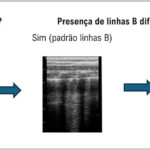 Figura 12