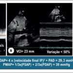 Imagem 6 da galeria