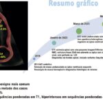 Figura 1