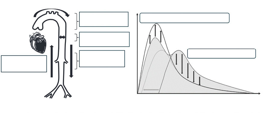 Figura 2