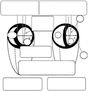 Figura 9