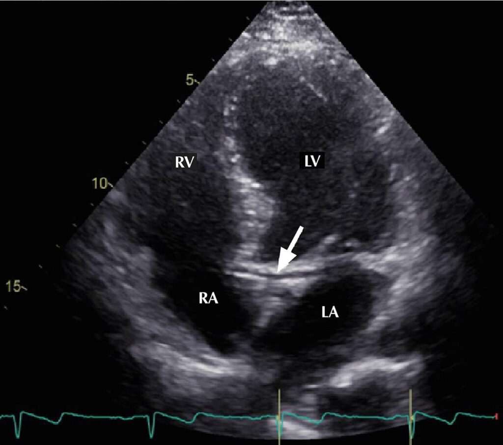 Figure 8