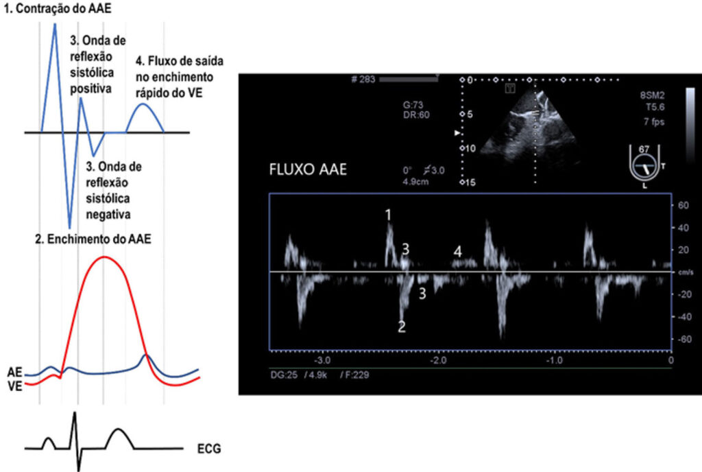 Figura 2