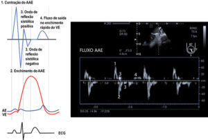 Figura 2