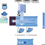 Figura 3