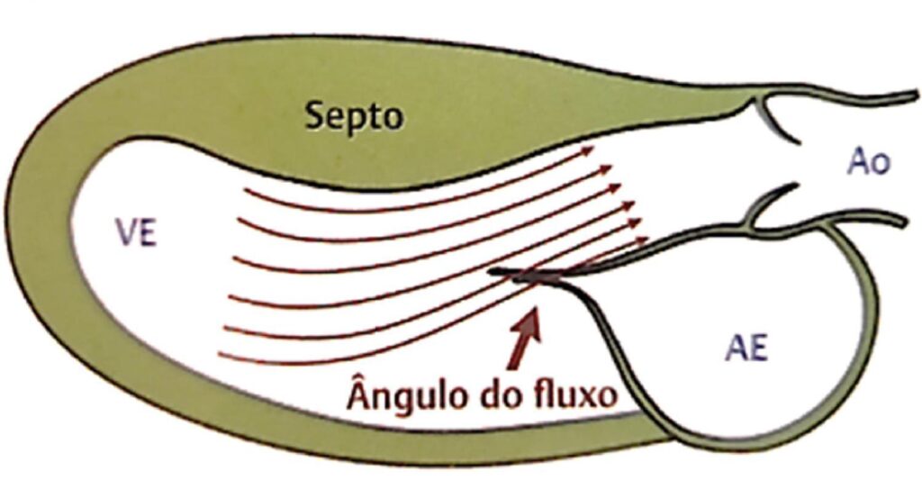 Figura 1