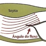 Figura 1