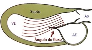 Figura 1