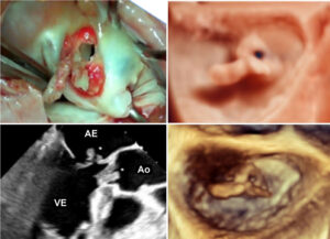 Figura 3