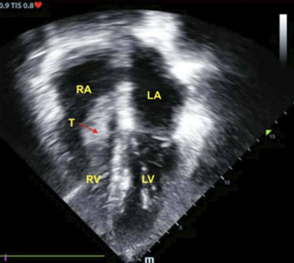 Figure 7