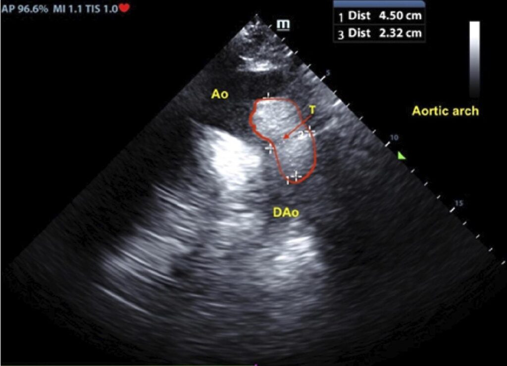 Figure 8