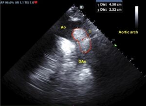Figure 8