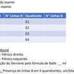 Figura 5