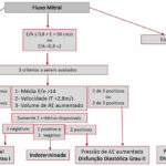 Figura 3