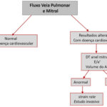 Figura 4