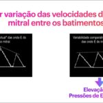 Figura 2