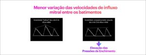 Figura 2