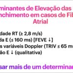 Figura 3