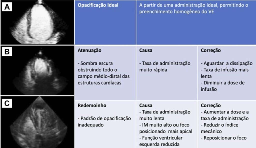 Figura 1