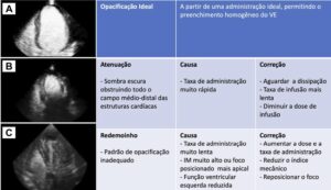 Figura 1
