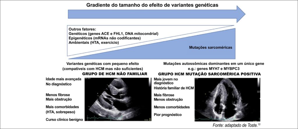 Figura 1