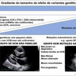 Figura 1
