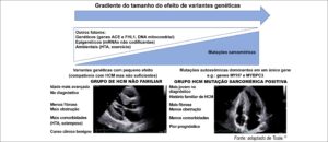 Figura 1